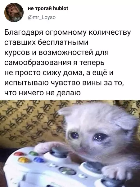 Смешная картинка №483593 карантин