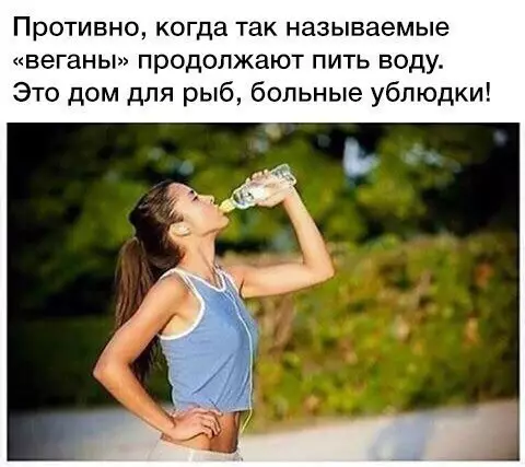 Смешная картинка №214167 веганы