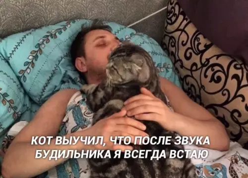 Смешная картинка №427942 Cамое тeплое одеялкo