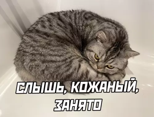 продолжение Смешная картинка №582780