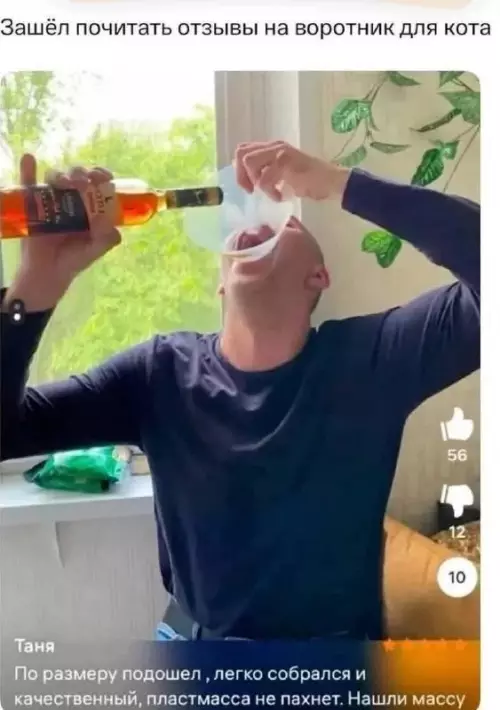 Отзывы, которые мы заслужили 😂 - Зашёл почитать отзывы на воротник для кота. Таня: По размеру