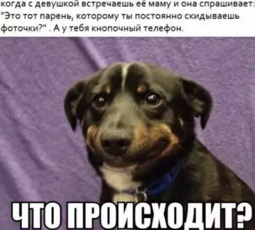 Смешная картинка №502576