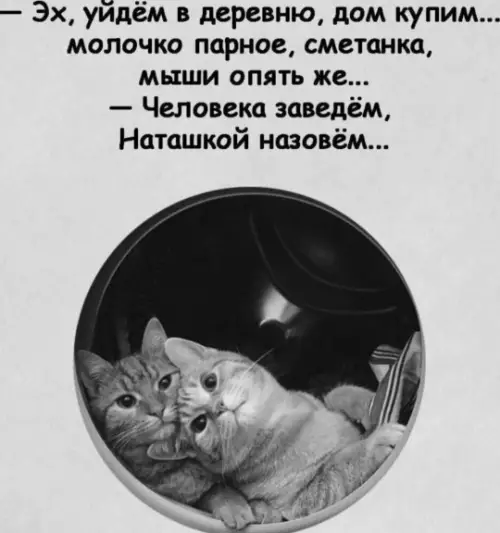 Смешная картинка №782042 Мечтательновое