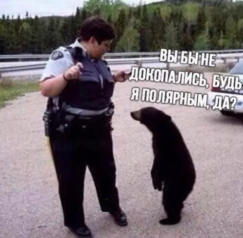 Смешная картинка №697148
