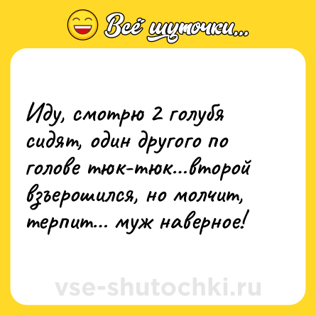 Шутка: Иду, смотрю 2 голубя сидят, один другого по голове тюк-тюк…второй взъерошился, но молчит, терпит… муж наверное!