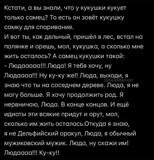 Смешная картинка №721313 Кукушка 