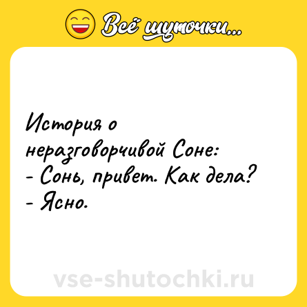 Шутка: История о неразговорчивой Соне: <br>- Сонь, привет. Как дела? <br>- Ясно.