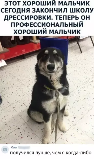 Смешная картинка №311450