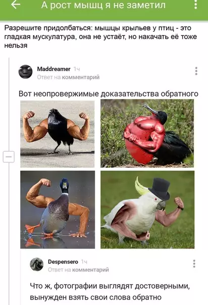 Смешная картинка №539609 Против таких аргументов не попрешь.
