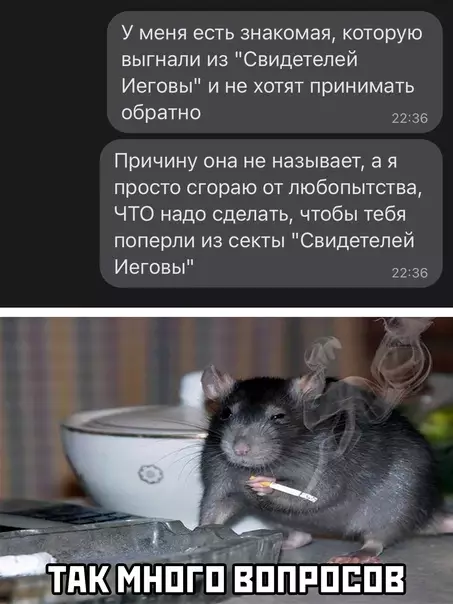 Смешная картинка №576025