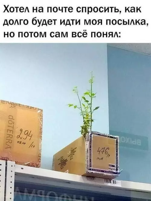 Смешная картинка №767191