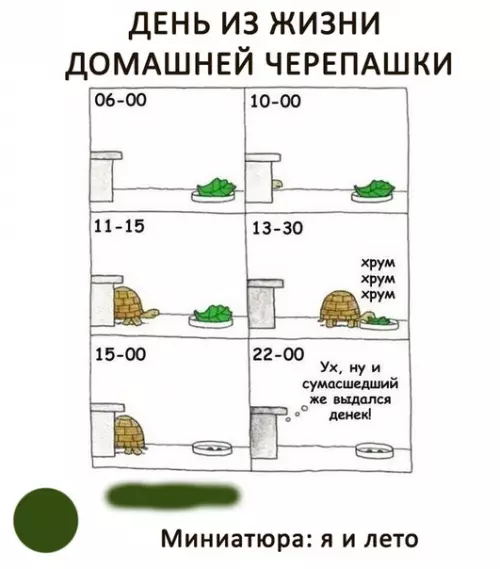 Смешная картинка №284950