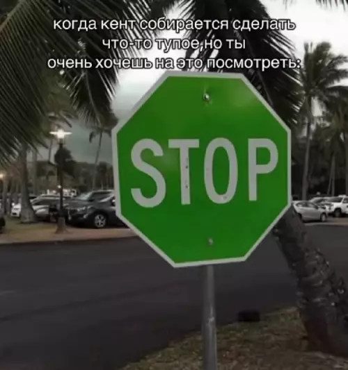 Тот самый друг-зритель 🛑😂 - когда кент собирается сделать ЧТО-ТО ТУПОЕ, но ты ОЧЕНЬ ХОЧЕШЬ