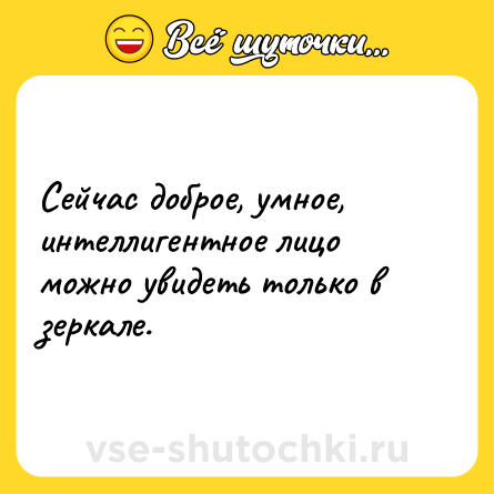 Шутка: Сейчас доброе, умное, интеллигентное лицо можно увидеть только в зеркале.