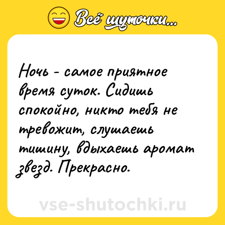 Шутка: Ночь - самое приятное время суток. Сидишь спокойно, никто тебя не тревожит, слушаешь тишину, вдыхаешь аромат звезд. Прекрасно.