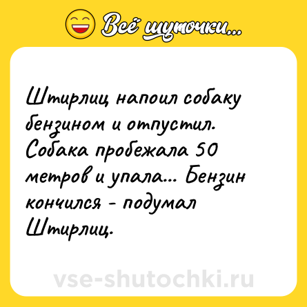 Шутка: Штирлиц напоил собаку бензином и отпустил. Собака пробежала 50 метров и упала... Бензин кончился - подумал Штирлиц.