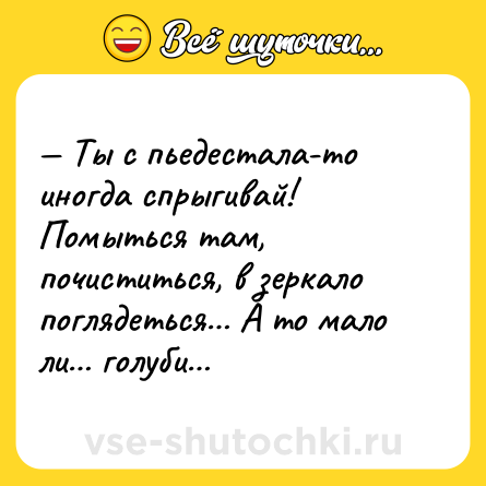 Шутка: — Ты с пьедестала-то иногда спрыгивай! Помыться там, почиститься, в зеркало поглядеться… А то мало ли… голуби…