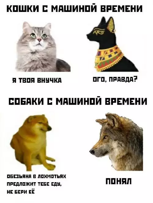 Смешная картинка №695154