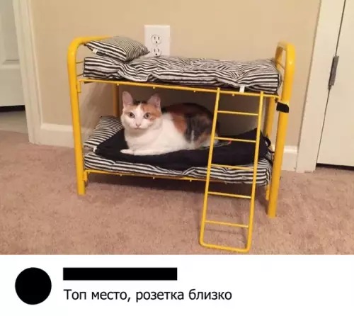 Смешная картинка №326834