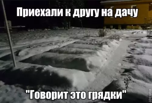 Смешная картинка №177875