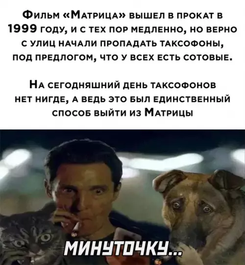 Смешная картинка №623987