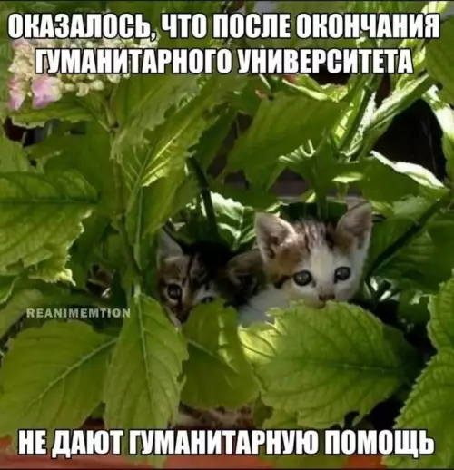 Диплом гуманитария не кормит 😹 - ОКАЗАЛОСЬ, ЧТО ПОСЛЕ ОКОНЧАНИЯ ГУМАНИТАРНОГО УНИВЕРСИТЕТА НЕ ДАЮТ ГУМАНИТАРНУЮ ПОМОЩЬ