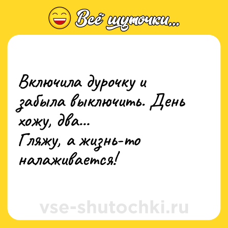 Шутка: Включила дурочку и забыла выключить. День хожу, два... <br>Гляжу, а жизнь-то налаживается!
