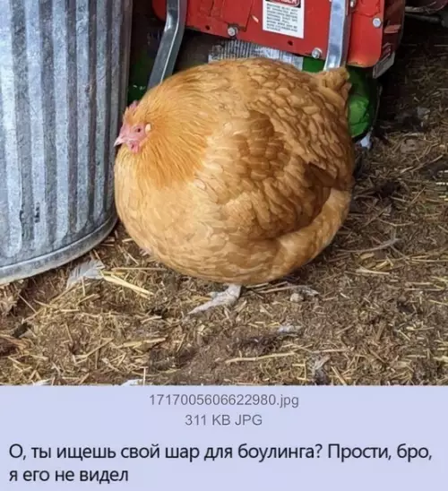 Смешная картинка №760736