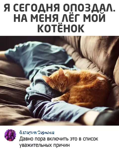 Смешная картинка №555488
