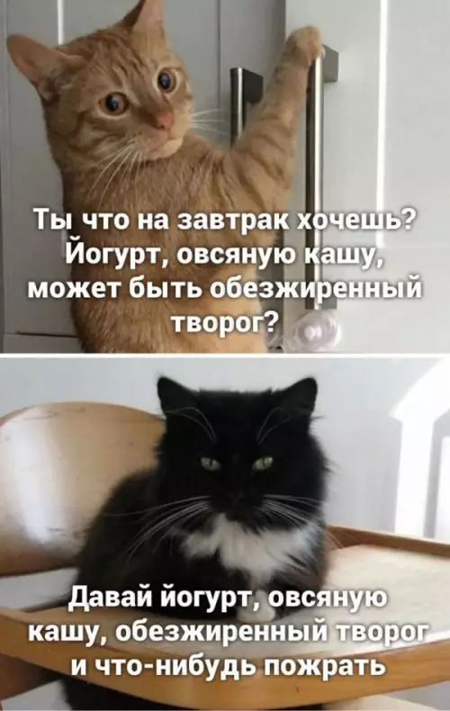Смешная картинка №653149