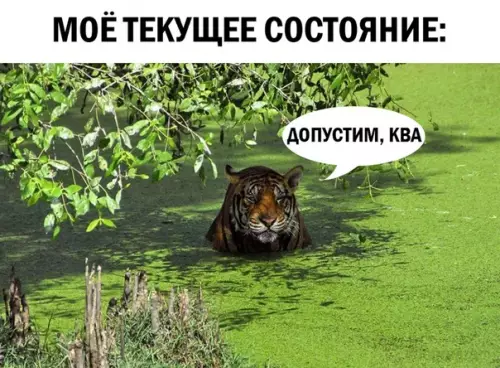 Смешная картинка №287391