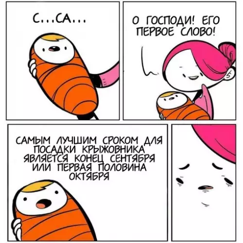 Смешная картинка №658747 дети