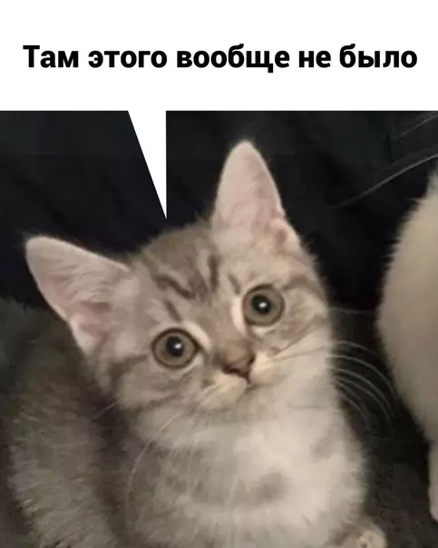 продолжение Смешная картинка №575687 дети, папа, родители