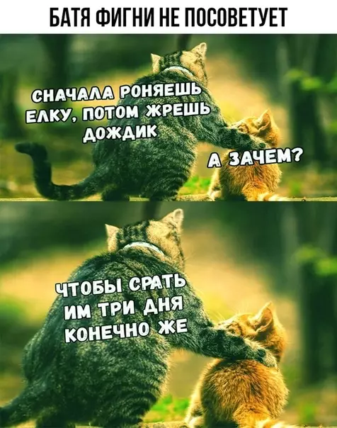 Смешная картинка №408290