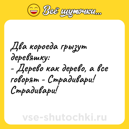 Шутка: Два короеда грызут деревяшку:<br>- Дерево как дерево, а все говорят - Страдивари! Страдивари!