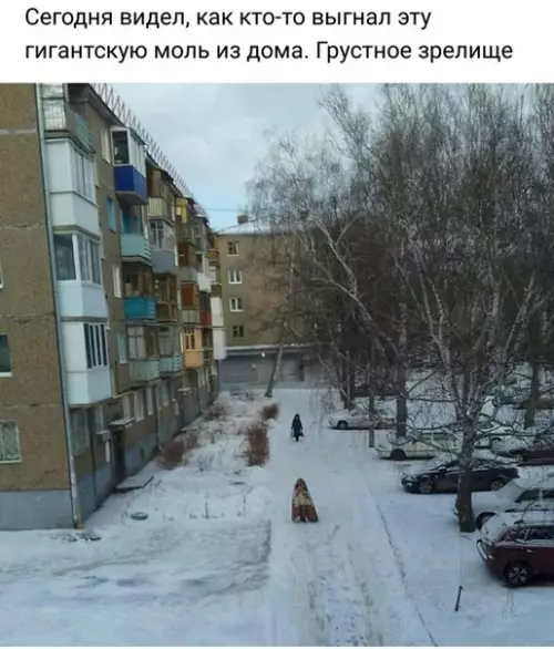 Смешная картинка №260195