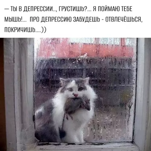 Смешная картинка №768099