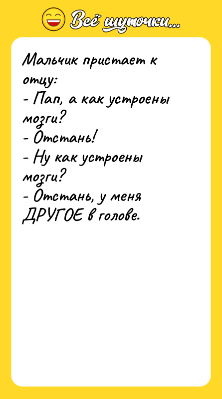 Мальчик пристает к отцу: - Пап, а как устроены мозги?