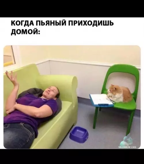 Смешная картинка №369187