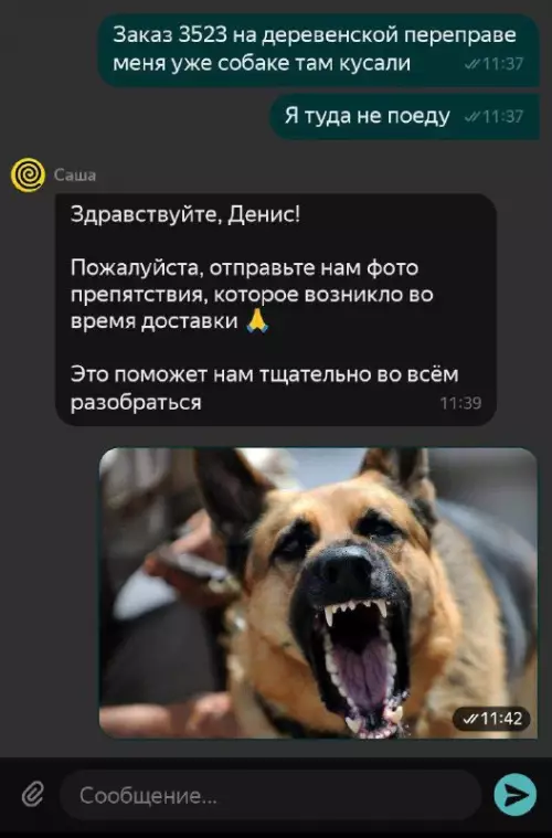 Смешная картинка №728391 Эта служба и опасна и трудна Работа