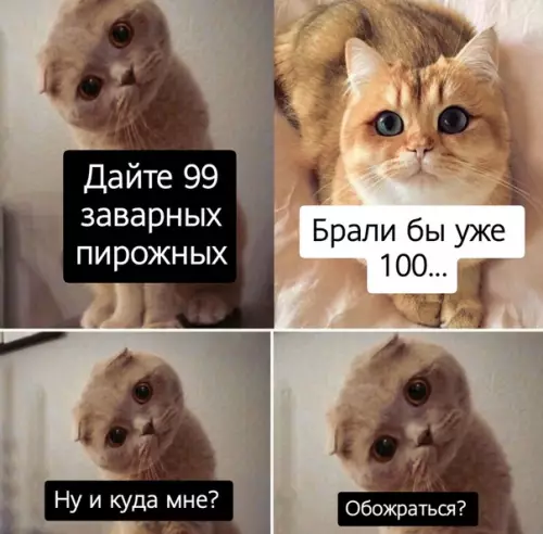 Смешная картинка №507493 Надо меру знать