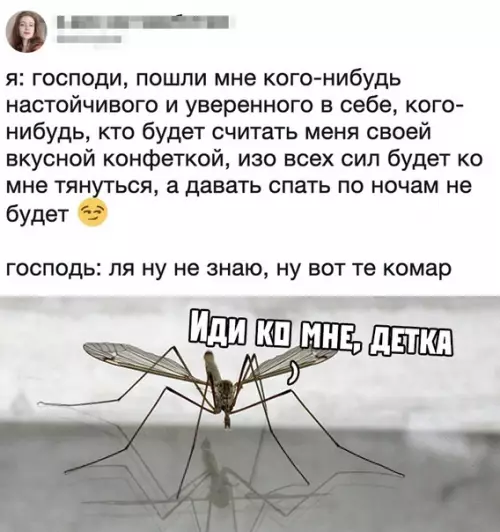 Смешная картинка №367356