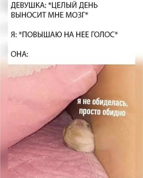Смешная картинка №685884