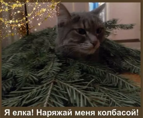 Смешная картинка №240450