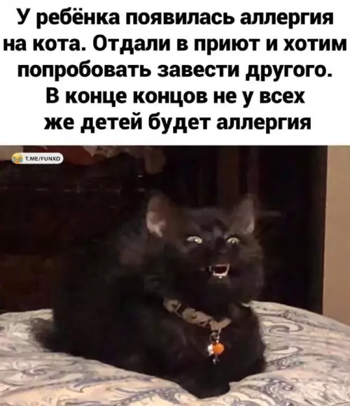 Смешная картинка №718384