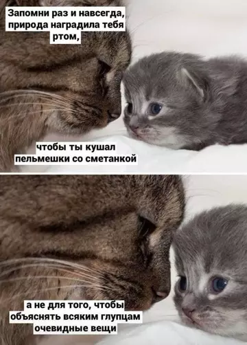 Смешная картинка №755992