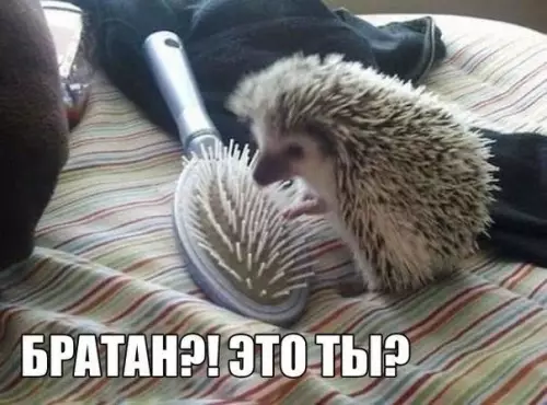 Смешная картинка №421925