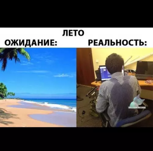 Смешная картинка №377439