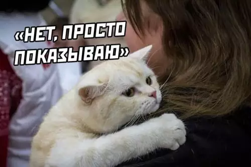 продолжение Смешная картинка №589030 Про рыбов