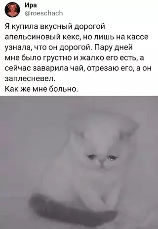 Смешная картинка №702612